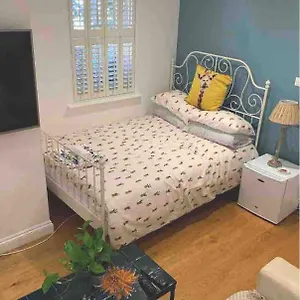 Accommodatie bij particulieren Stylish Modern Studio, Mock Georgian House, Heart Of Trendy Hackney &, Londen